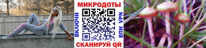 Галлюциногенные грибы Psilocybe наркошоп Среднеколымск